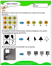 Zeka Gelişim Testleri